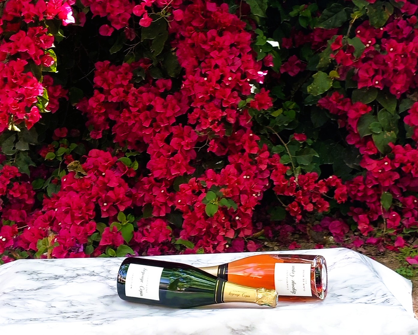 DUO Champagne 1.1